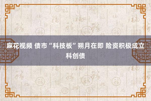 麻花视频 债市“科技板”朔月在即 险资积极成立科创债