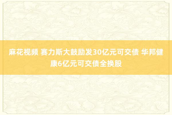 麻花视频 赛力斯大鼓励发30亿元可交债 华邦健康6亿元可交债全换股